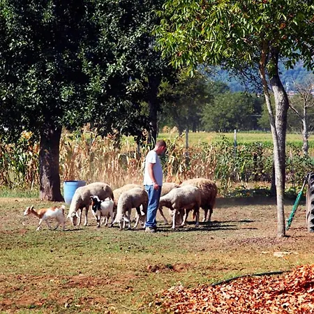 Azienda Agrituristica Pericle בית כפרי
