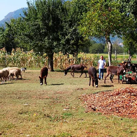 Azienda Agrituristica Pericle בית כפרי *